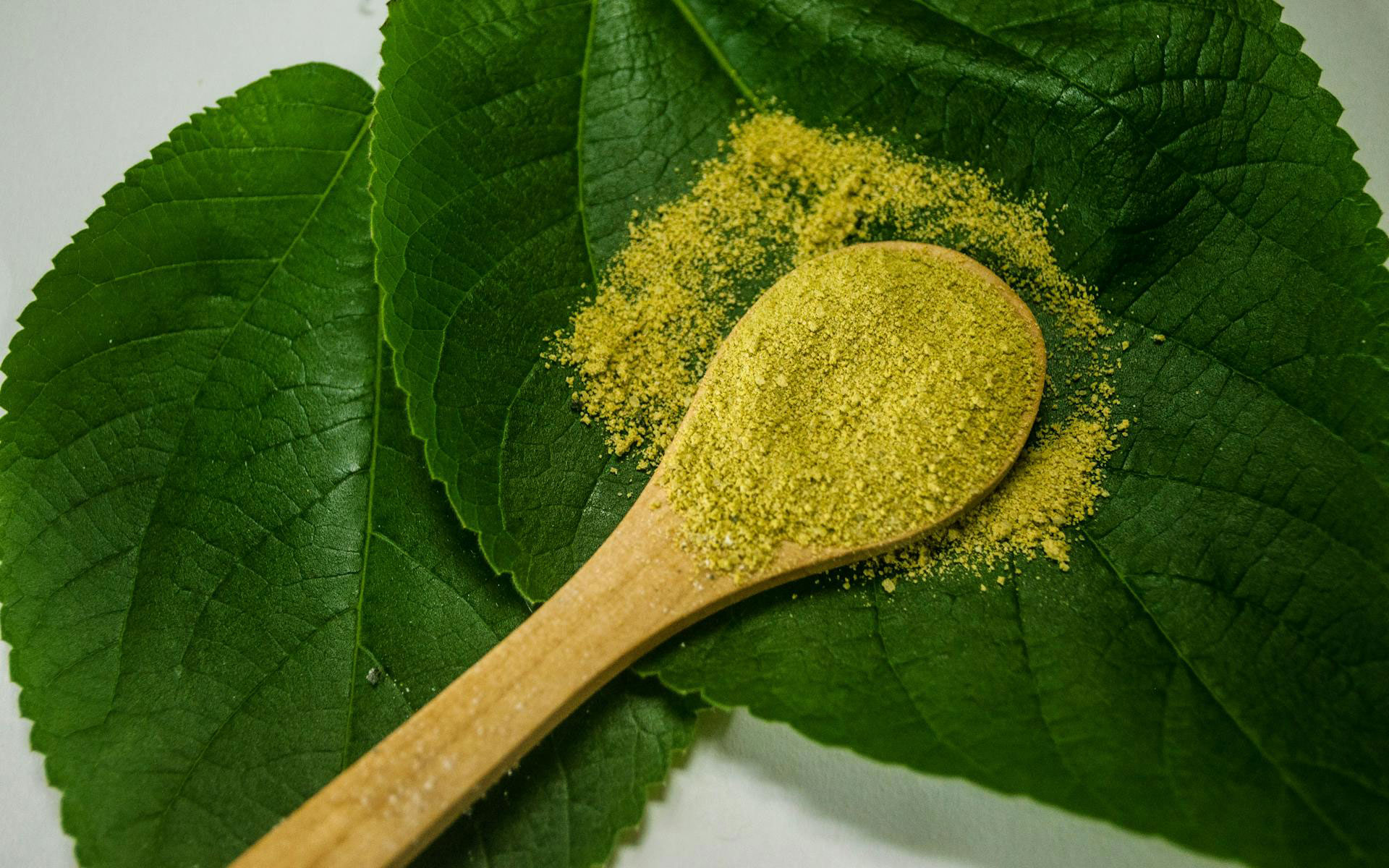 close up of green kratom powder in spoon on leaves