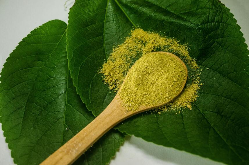 close up of green powder in spoon on leaves 