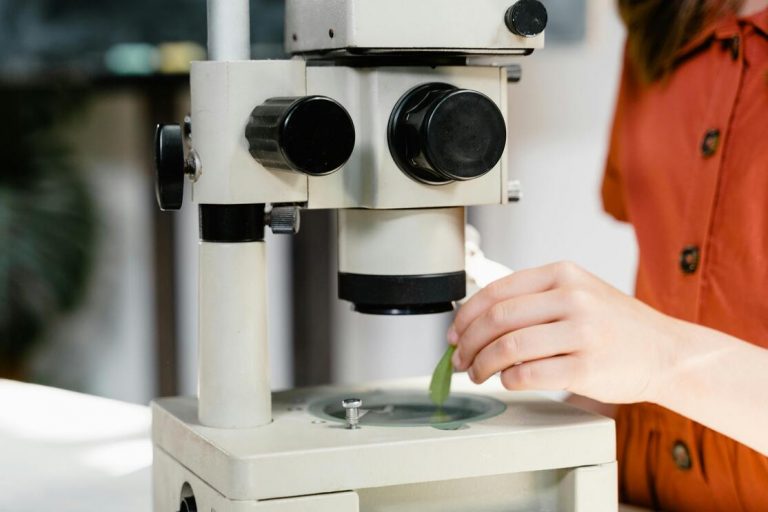 a person holding a green leaf under a microscope